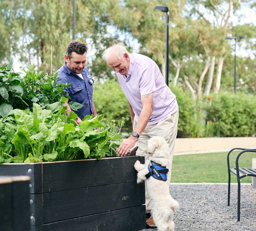 The vegetable garden | Greenway Views