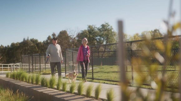 Amberfield lifestyle: morning walk to the dog park